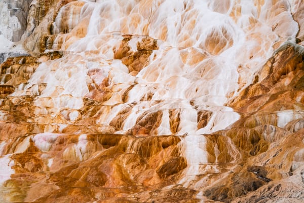 A close study of travertine crust, mineral white breaking into rust and gold across the rock face.